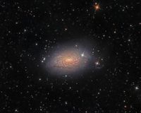 M63 - Sunflower Galaxy (HaLRGB)