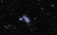 NGC 4490 - The Cocoon Galaxy (HaLRGB)