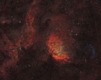 SH2-101 - The Tulip Nebula and Cygnus X-1 Bow Shockwave (Bicolor)