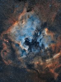 NGC 7000 - North America Nebula (SHO)